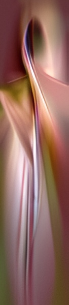 Elegant soft-hued digital artwork