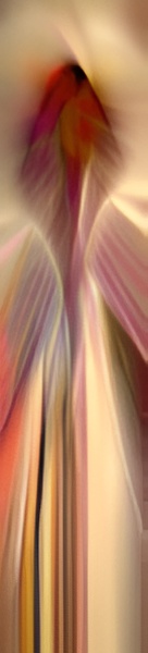 Vibrant, elongated abstract art