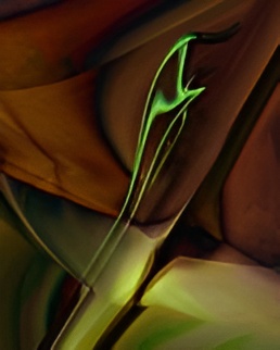 Organic abstract design with earthy tones